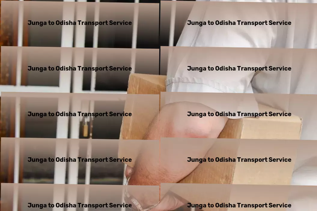 Junga to Odisha Transport Logistics services