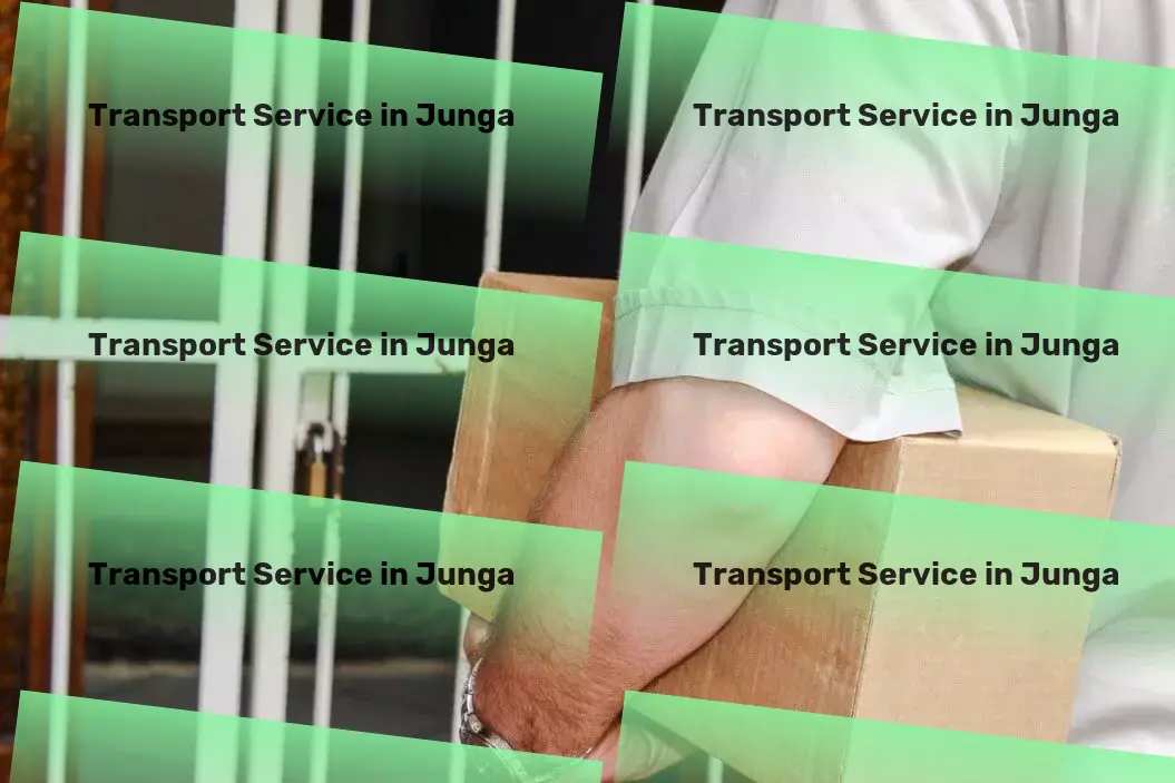 Courier And Parcel in Junga, Himachal Pradesh (HP) Transport service provider