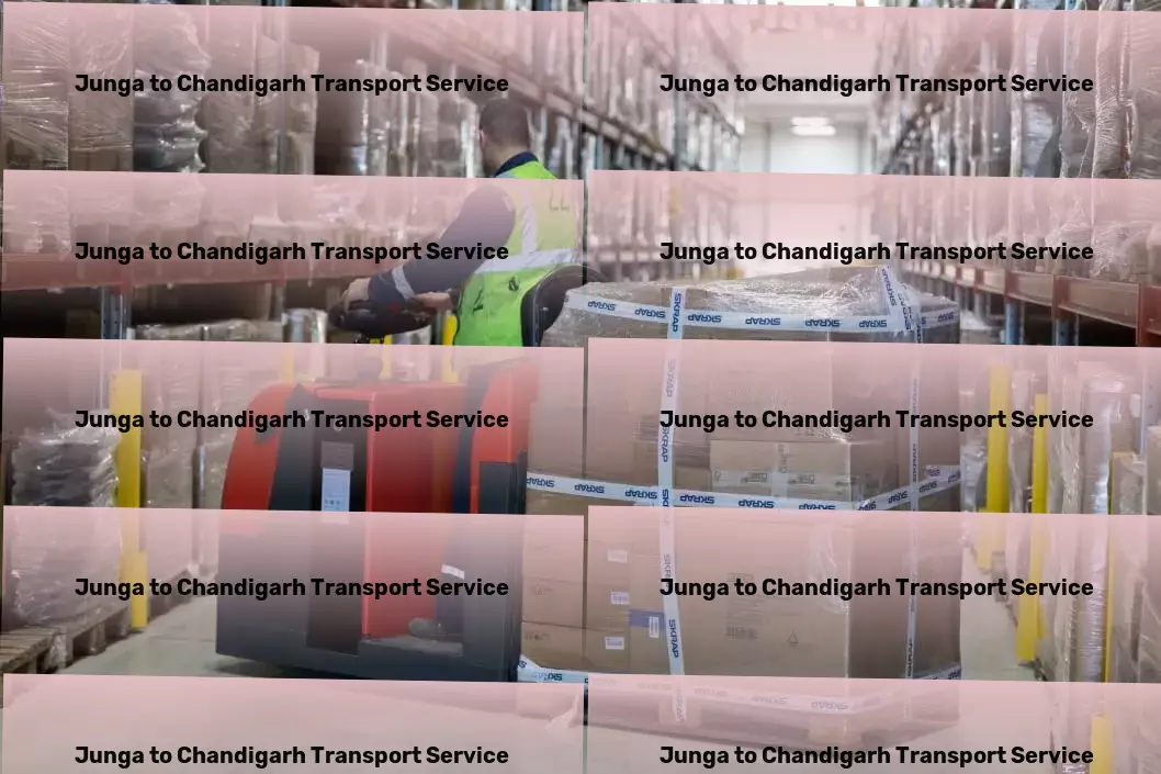 Junga to Chandigarh Transport Specialized goods delivery