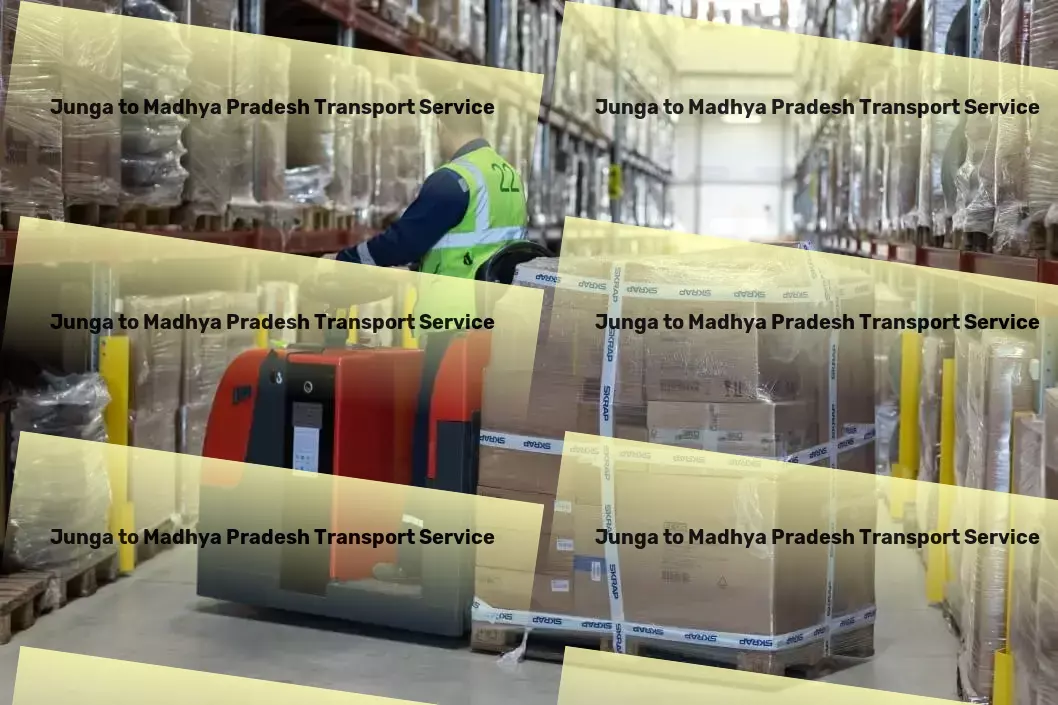 Junga to Madhya Pradesh Transport Customized cargo logistics