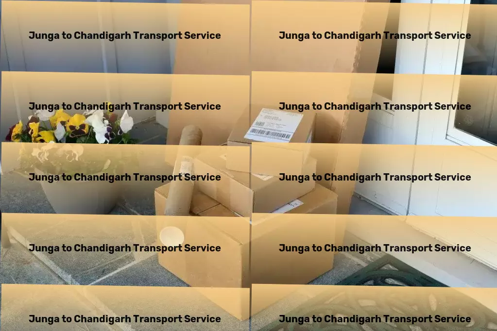 Junga to Chandigarh Transport Advanced freight forwarding