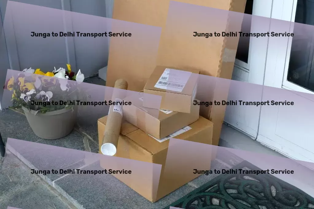 Junga to Delhi Transport Citywide goods forwarding