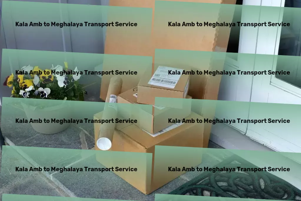 Kala Amb to Meghalaya Transport Specialized transport solutions