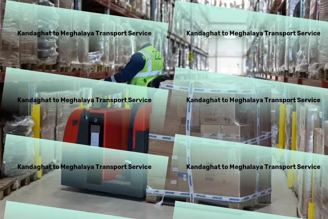 Kandaghat to Meghalaya Transport Specialized goods delivery