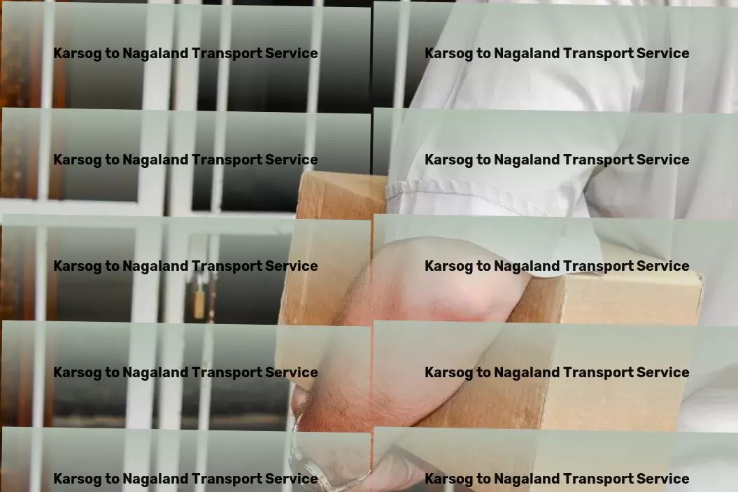 Karsog to Nagaland Transport Professional courier solutions