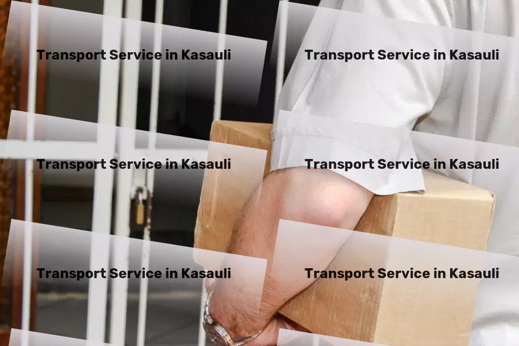 Courier And Parcel in Kasauli, Himachal Pradesh (HP) Domestic transport services