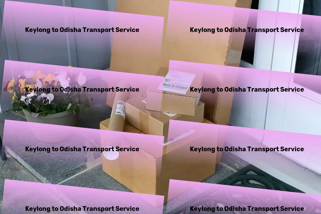 Keylong to Odisha Transport Personalized freight logistics