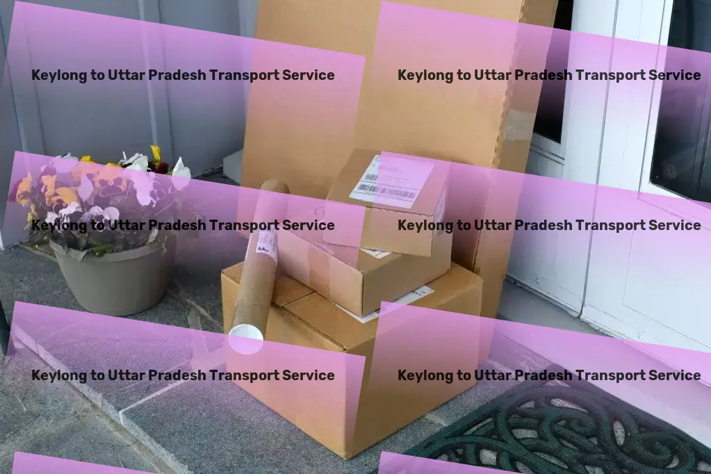 Keylong to Uttar Pradesh Transport Professional package services